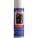 Spray Eternaprime 14oz Image 2