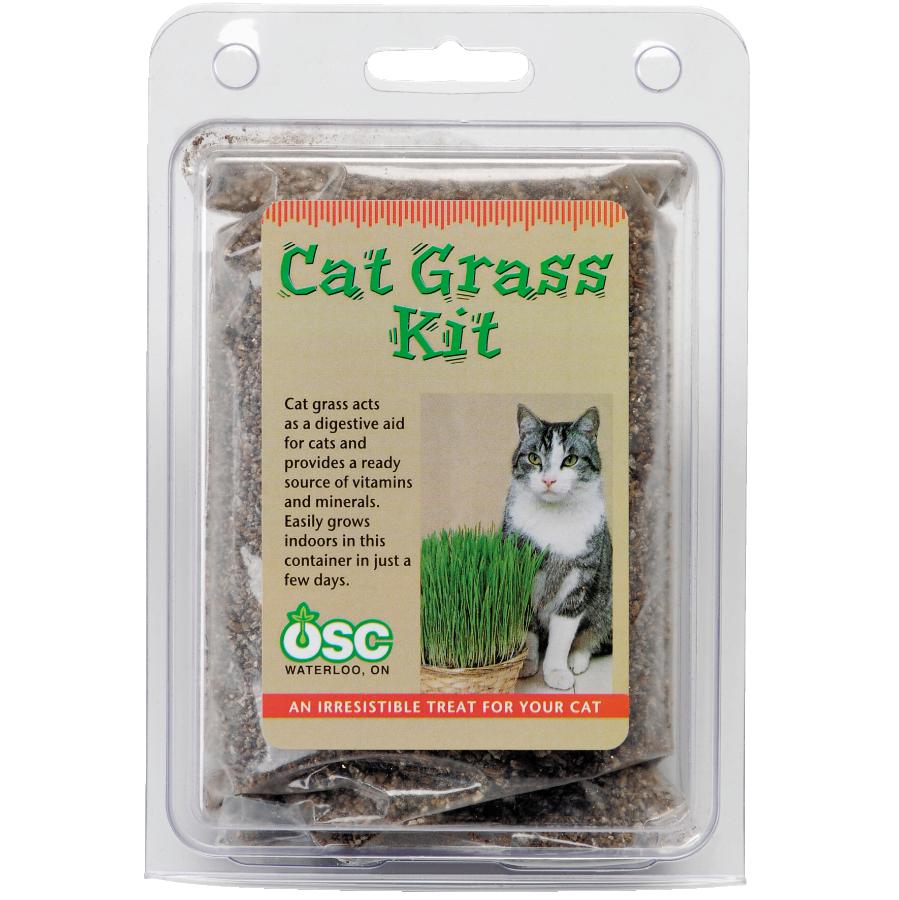 Osc Seeds Cat Grass Kit Treats Home Hardware
