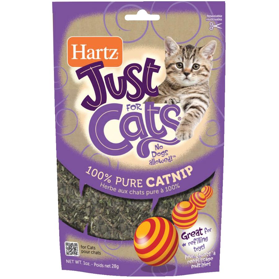 Hartz 28g 100 Pure Catnip Cat Treats Home Hardware