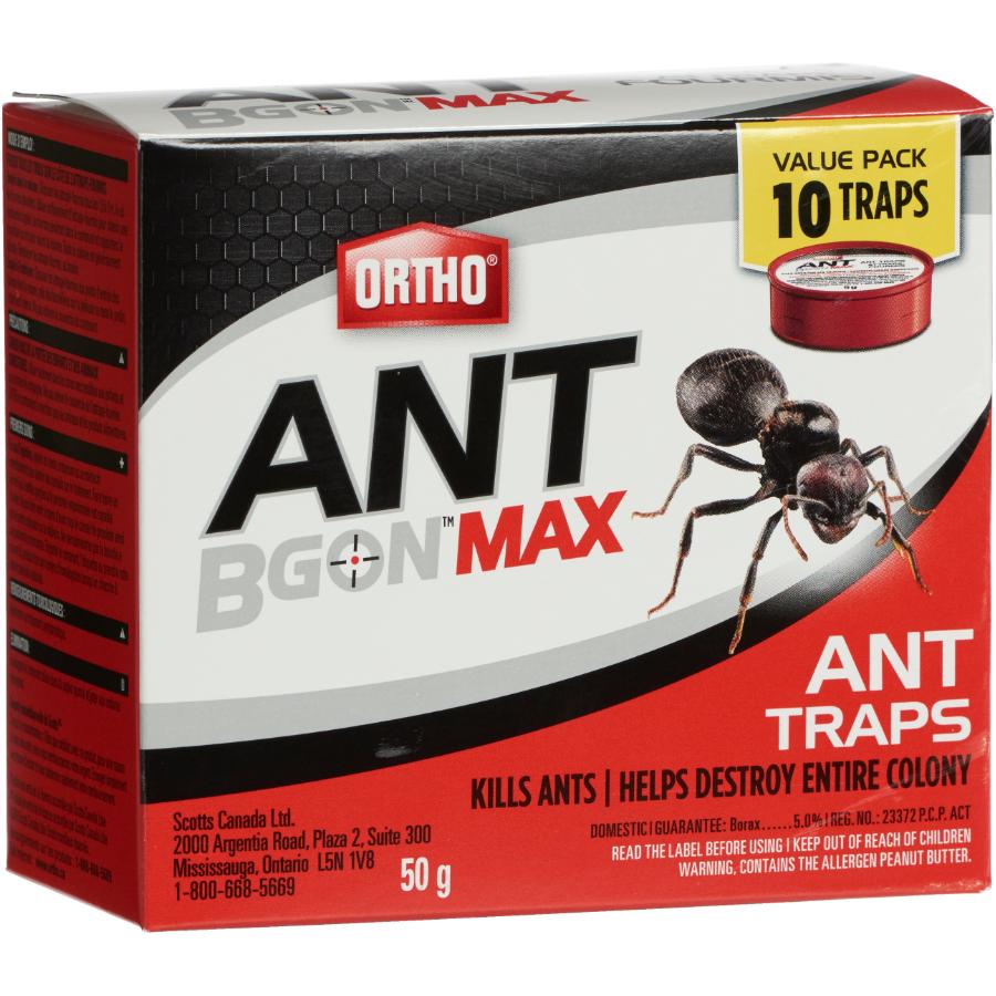 Ortho 10 Pack Ant Bgon Traps Home Hardware
