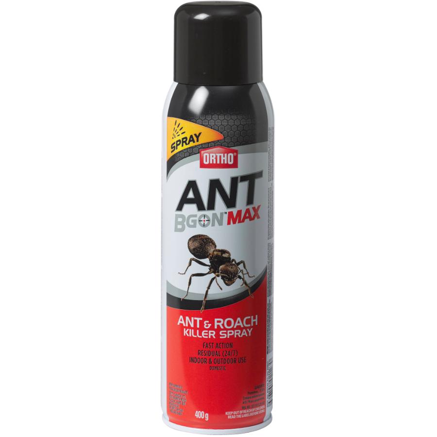 Ortho 400g Ant And Roach B Gon Spray Home Hardware