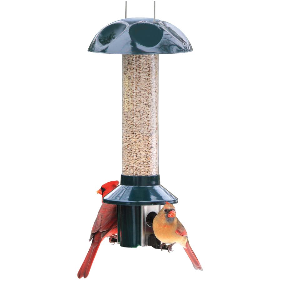 Mangeoire A Oiseaux Anti Animaux Nuisibles Capacite De 3 Lb