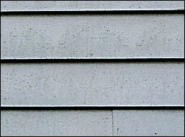 Mildew