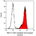 Detection of mouse RAF1/c-Raf (shaded) in EL4 cells by flow cytometry.