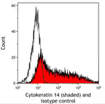 Detection of human Cytokeratin 14 (shaded) in FaDu cells by flow cytometry.