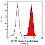 Detection of human Mre11 (shaded) in Jurkat cells by flow cytometry.