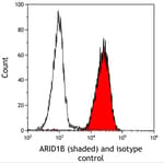 Detection of mouse ARID1B (shaded) in EL4 cells by flow cytometry.