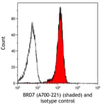 Detection of human BRD7 (shaded) in HeLa cells by flow cytometry.