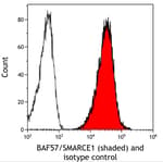 Detection of human BAF57/SMARCE1 (shaded) in Jurkat cells by flow cytometry.