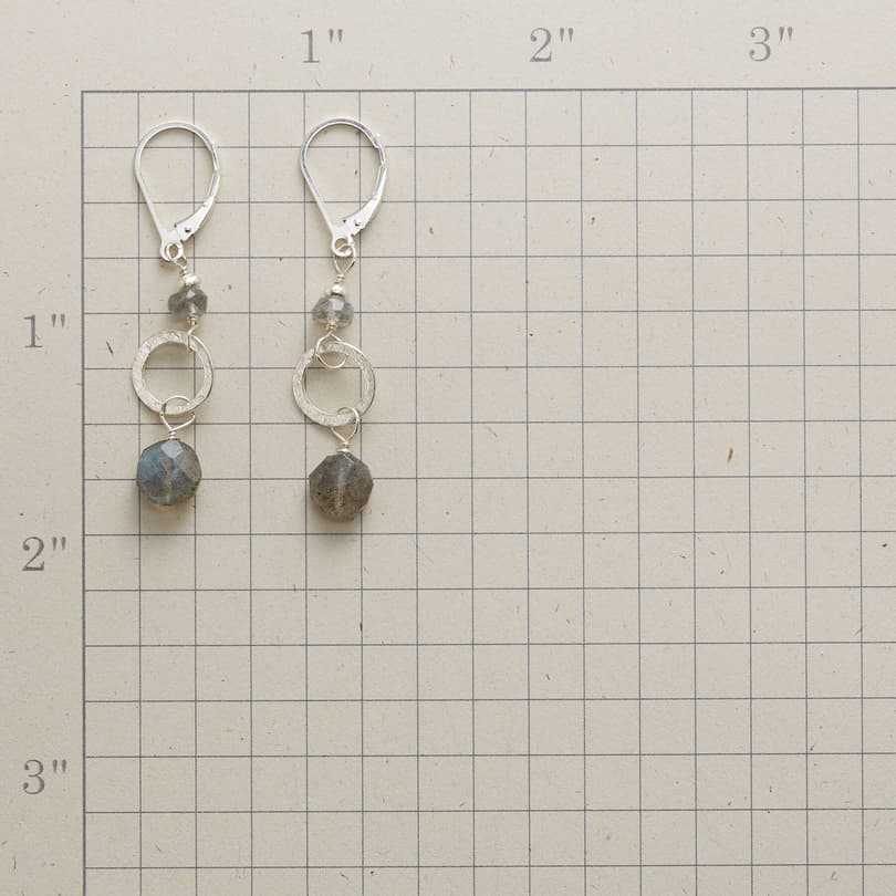 IN THE RING EARRINGS view 1