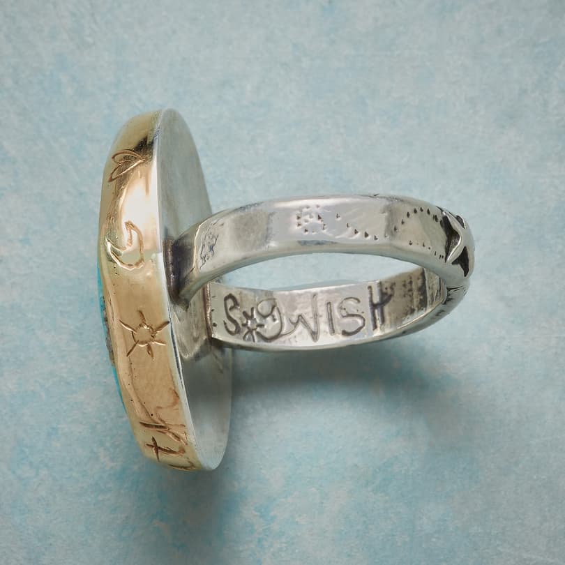 WISH AND TRUTH RING view 2