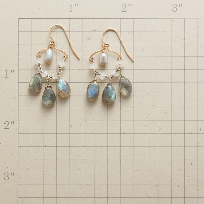 MADE IN THE SHADE EARRINGS view 1