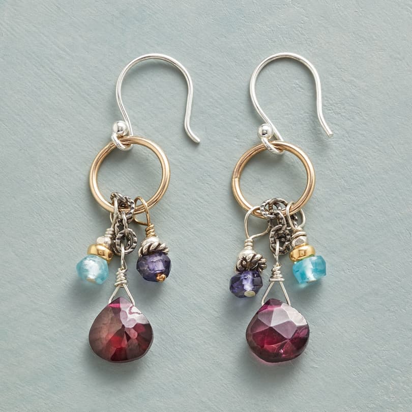 GARNETS AND GOLDEN EARRINGS view 1