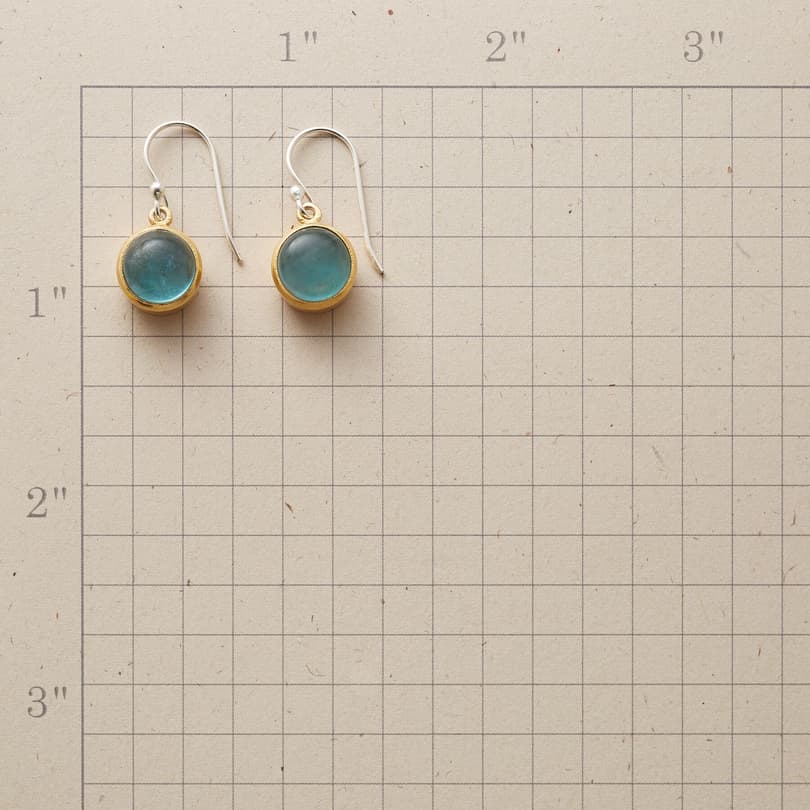 EVERGLADES EARRINGS view 1