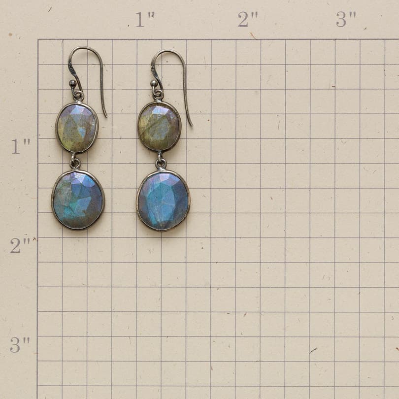 TWO OF A KIND EARRINGS view 1