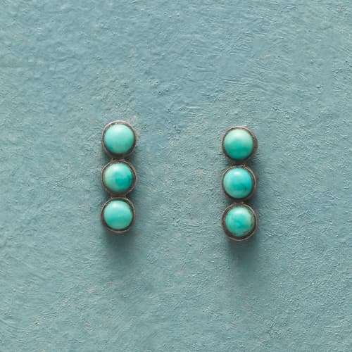 Unpredictable Turquoise Earrings View 1