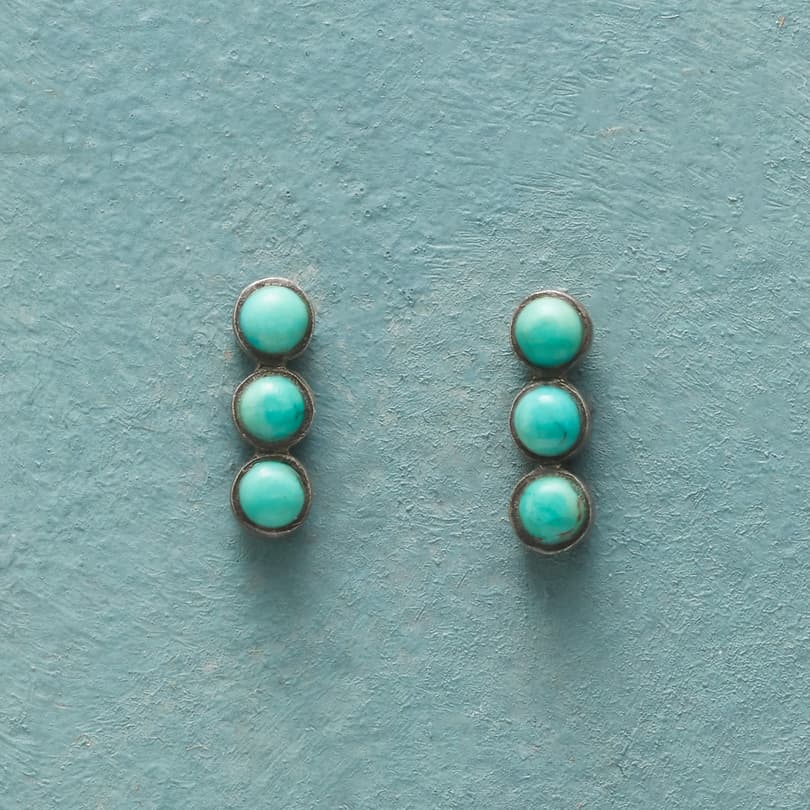 Unpredictable Turquoise Earrings View 1