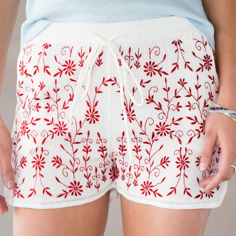 TOLANI KARLA EMBROIDERED SHORTS view 2