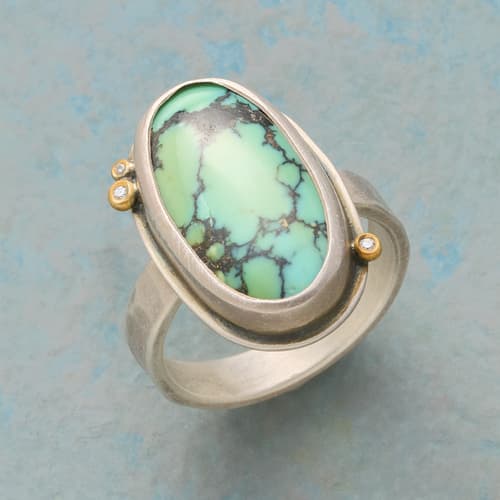 Starlit Turquoise Ring View 1
