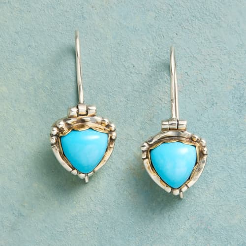Turquoise Shield Earrings View 1