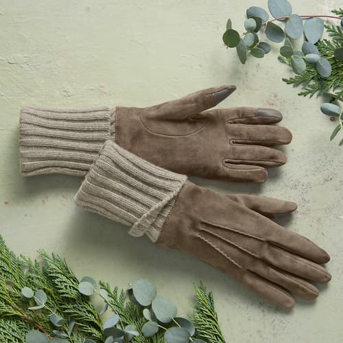 Alexandrine Tech Gloves