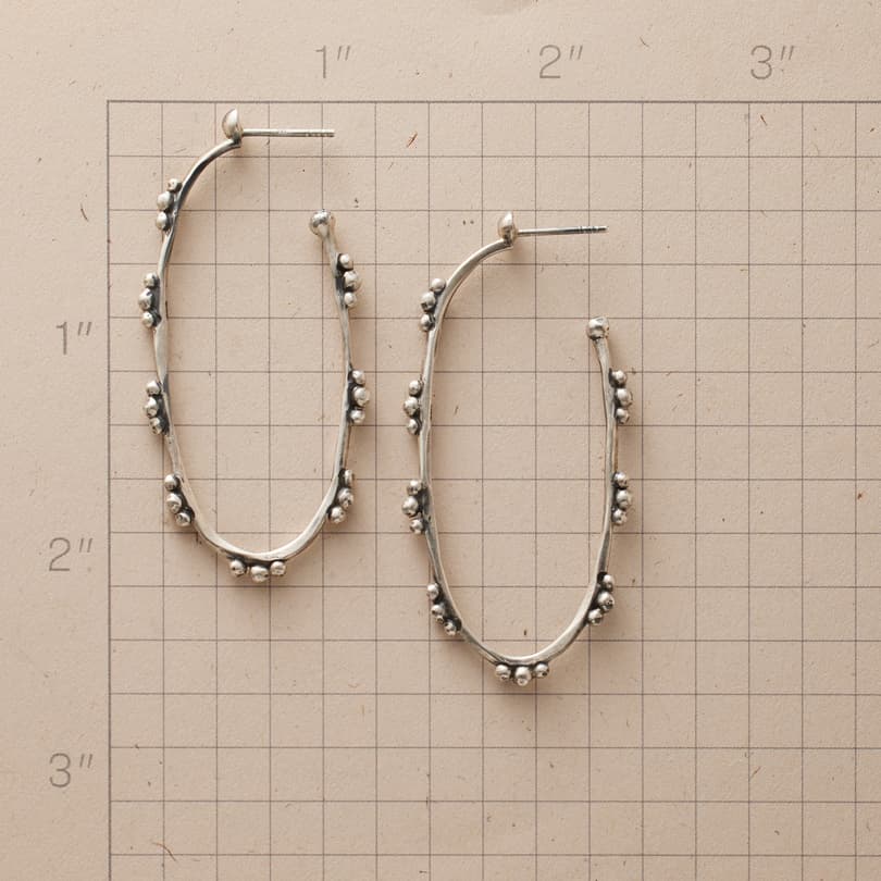 Punctuated Hoops View 3