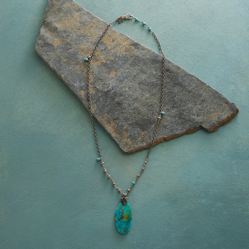 Paragon Turquoise Necklace View 2
