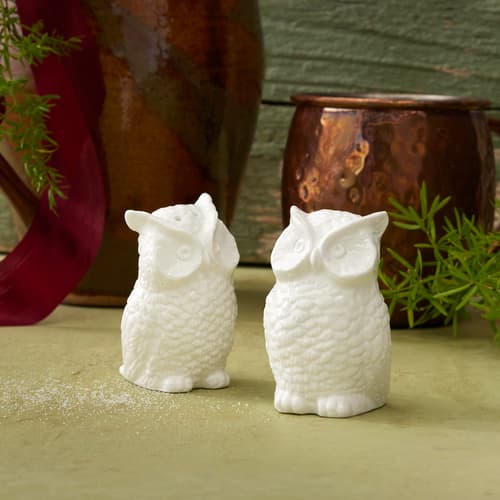 White Owl Salt & Pepper Shaker Set