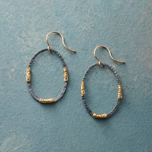 Black And Gold Earrings View 1