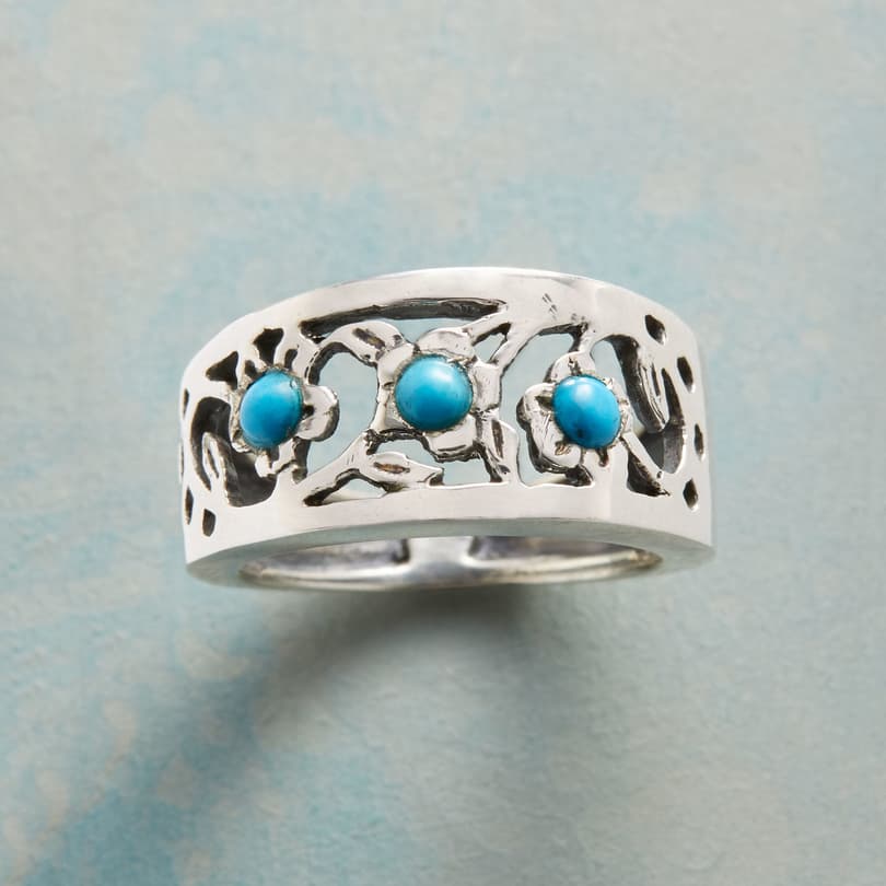 TURQUOISE ARCHWAY RING view 1