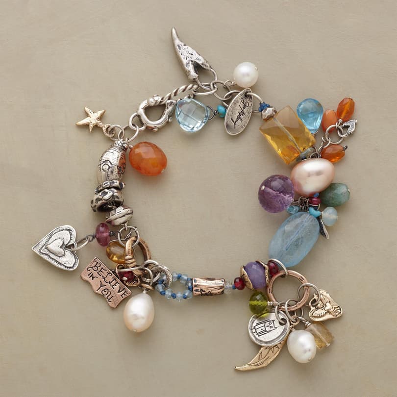 COLLECTOR'S CHARM BRACELET view 1