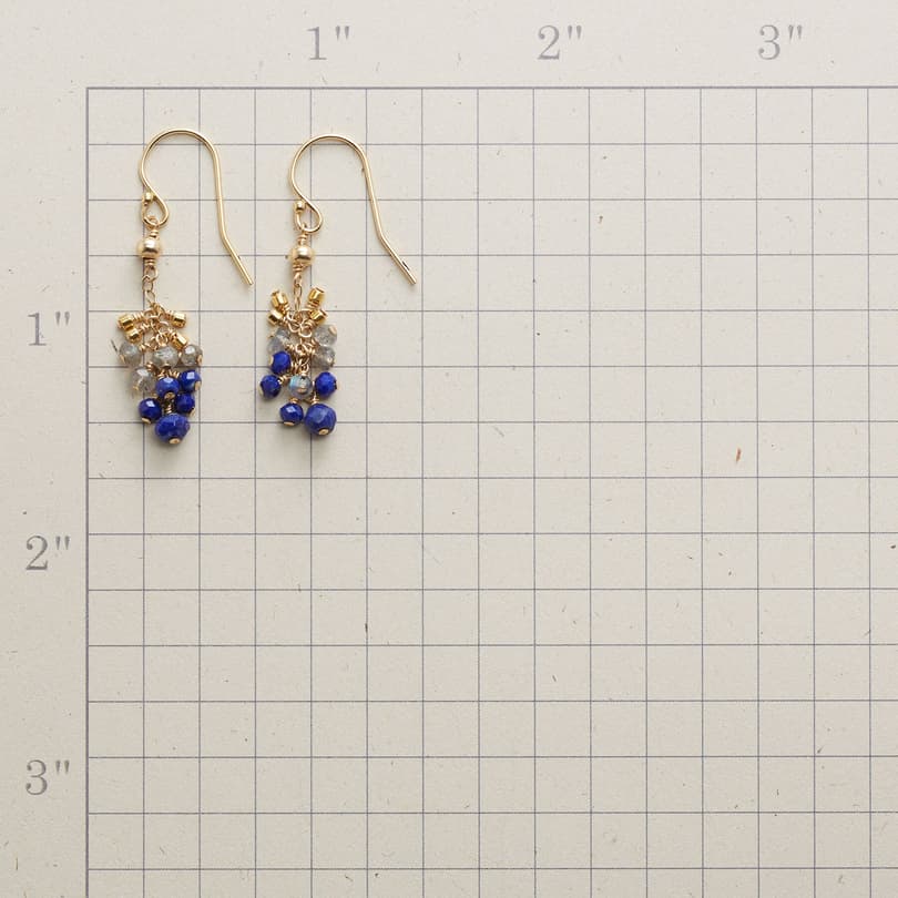 BLUEBERRY CLUSTER EARRINGS view 1