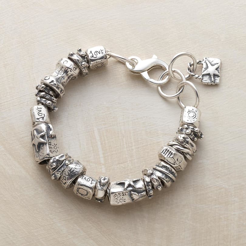 ALL SILVER CHARMED LIFE BRACELET view 1