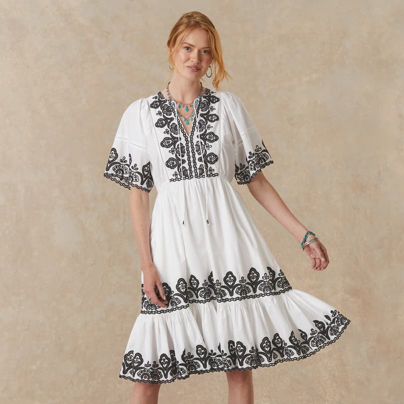 Layna Embroidered Dress, Petite View 3