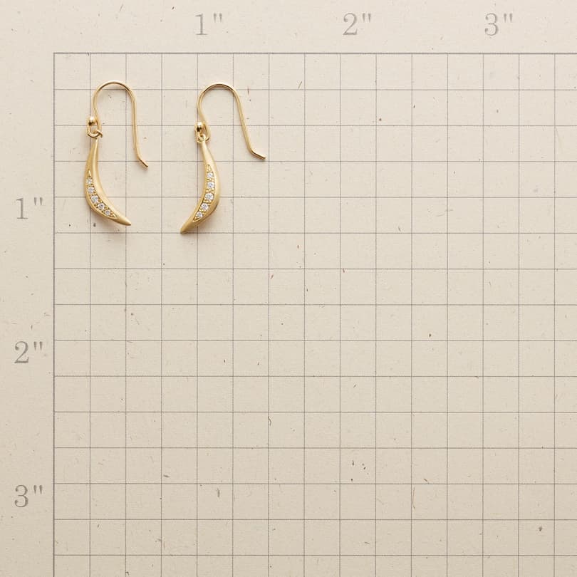 SPARKLING ARC EARRINGS view 1