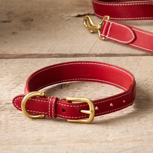 Sporty Dog Collar View 1
