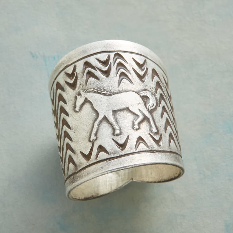 STERLING PONY RING view 1