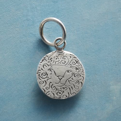 Sterling Silver Have Courage Charm View 1