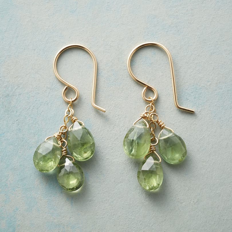 GREEN WITH ENVY EARRINGS view 1