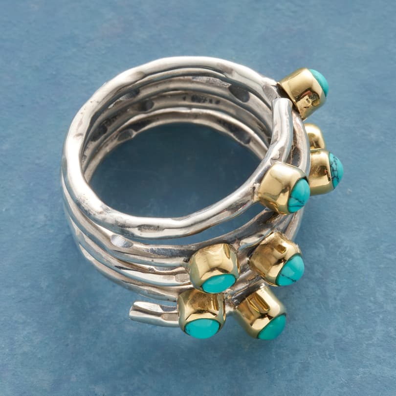 TWIGGY TURQUOISE RING view 1