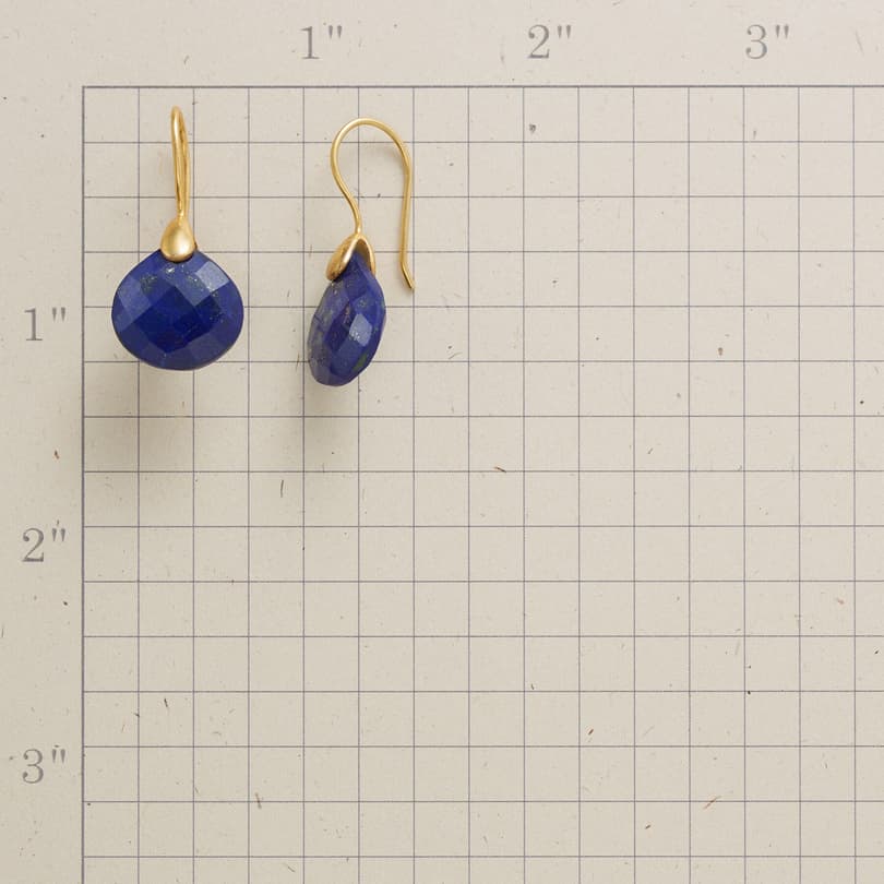MIDNIGHT PETALS EARRINGS view 1