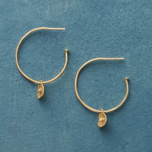 Thorn &amp; Rose Hoops View 1