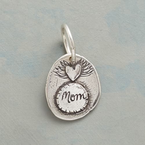 STERLING SILVER NURTURE + PROTECT CHARM view 1