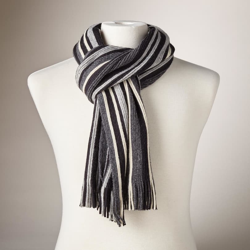 HARRY STRIPED SCARF view 1