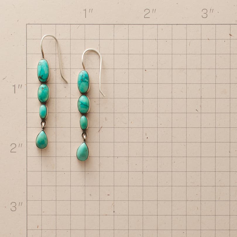 Captivating Turquoise Earrings View 2
