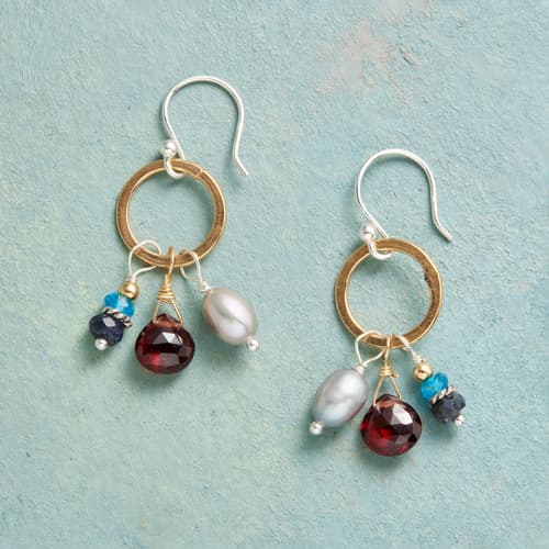 Jeweled Fringe Earrings View 1