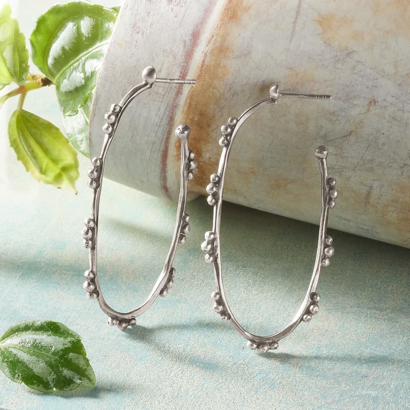 Punctuated Hoops View 2