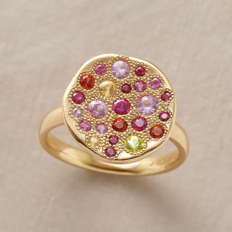 COLOR WHEEL SAPPHIRE RING view 1