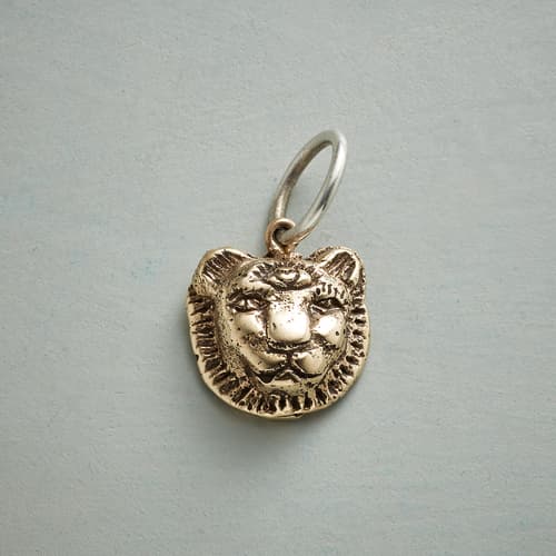 GOLD LIONESS TRUTH CHARM view 1