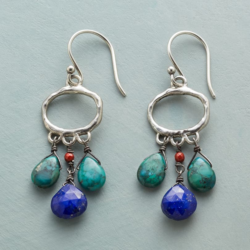 CALL OF THE WEST EARRINGS view 1